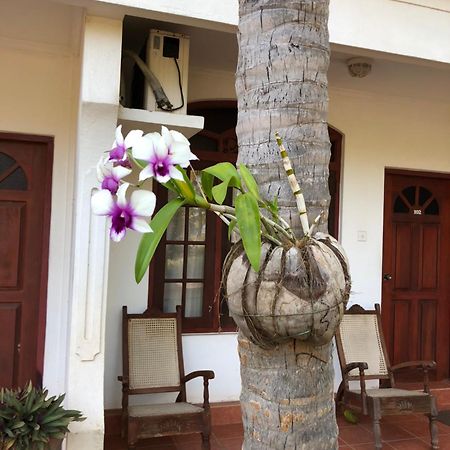 Hotel Lagoon Paradise Негомбо Экстерьер фото